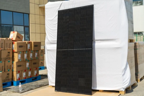 Monosilício Silício Sunpower System Módulo fotovoltaico Painel solar